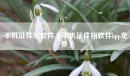 手机证件照软件（手机证件照软件app免费）