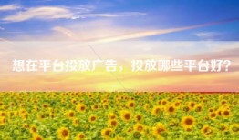 想在平台投放广告，投放哪些平台好？