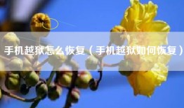 手机越狱怎么恢复（手机越狱如何恢复）