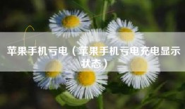 苹果手机亏电（苹果手机亏电充电显示状态）
