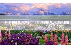 手机拍照九宫格（手机拍照九宫格构图）