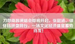 刀郎南昌演唱会即将开启，张韶涵、徐怀钰拼盘同台，一场文化经济盛宴蓄势待发！