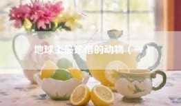 地球上最珍惜的动物（一）
