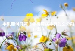 手机如何付款（手机店买手机怎么分期付款）