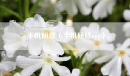 手机研修（手机研修app）