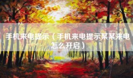 手机来电提示（手机来电提示某某来电怎么开启）