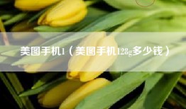 美图手机1（美图手机128g多少钱）