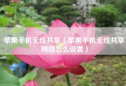 苹果手机无线共享（苹果手机无线共享网络怎么设置）