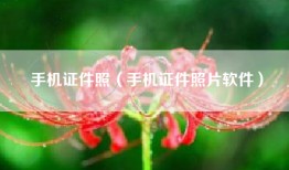 手机证件照（手机证件照片软件）