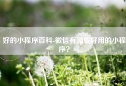 好的小程序百科-微信有哪些好用的小程序？