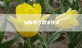 品牌整合营销资讯