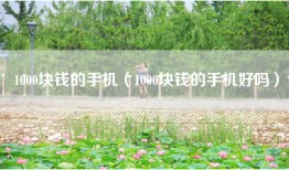 1000块钱的手机（1000块钱的手机好吗）