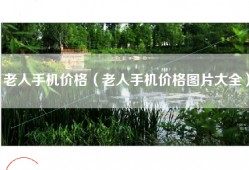 老人手机价格（老人手机价格图片大全）