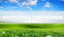 苹果手机美颜功能（苹果手机美颜功能在哪里找）