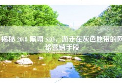 揭秘 2018 黑帽 SEO，游走在灰色地带的网络营销手段