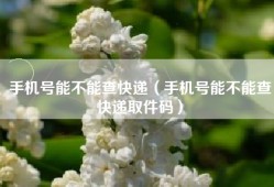 手机号能不能查快递（手机号能不能查快递取件码）