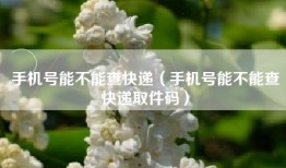 手机号能不能查快递（手机号能不能查快递取件码）