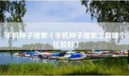 手机种子搜索（手机种子搜索工具哪个比较好）