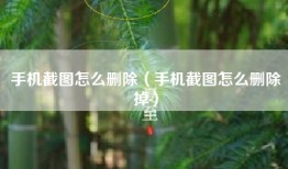手机截图怎么删除（手机截图怎么删除掉）