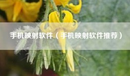 手机映射软件（手机映射软件推荐）