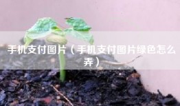 手机支付图片（手机支付图片绿色怎么弄）