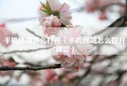 手机终端怎么打开（手机终端怎么打开微信）