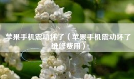 苹果手机震动坏了（苹果手机震动坏了维修费用）