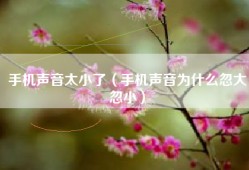 手机声音太小了（手机声音为什么忽大忽小）