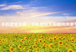 手机壁纸太阳（手机壁纸太阳图片大全）