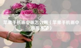 苹果手机画中画怎么用（苹果手机画中画用不了）