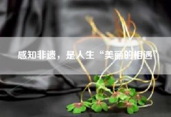 感知非遗，是人生“美丽的相遇”