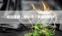 感知非遗，是人生“美丽的相遇”