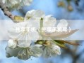 共享手机（共享手机号）