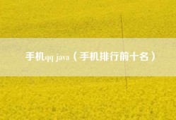 手机qq java（手机排行前十名）