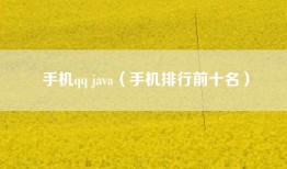手机qq java（手机排行前十名）
