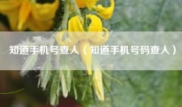 知道手机号查人（知道手机号码查人）