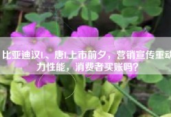 比亚迪汉L、唐L上市前夕，营销宣传重动力性能，消费者买账吗？