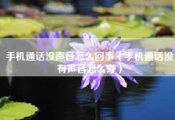 手机通话没声音怎么回事（手机通话没有声音怎么办）