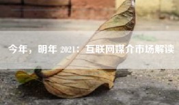 今年，明年 2021：互联网媒介市场解读