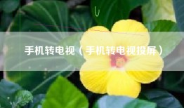手机转电视（手机转电视投屏）