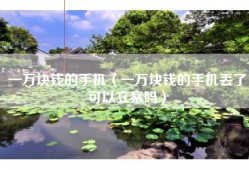 一万块钱的手机（一万块钱的手机丢了可以立案吗）