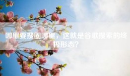 哪里要搜圈哪里，这就是谷歌搜索的终极形态？