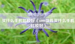 买什么手机比较好(6000块钱买什么手机比较好)