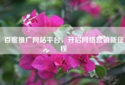 百度推广网站平台，开启网络营销新征程