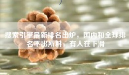 搜索引擎最新排名出炉，国内和全球排名不出所料，有人在下滑