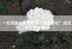 一位苦逼站长竟然把“淘宝论坛”优化排在百度第一