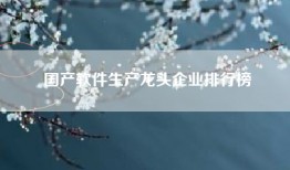 国产软件生产龙头企业排行榜