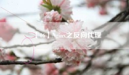 【06】Nginx之反向代理