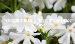 当兵能带手机吗（当兵能带手机吗军恋怎么办）