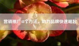 营销推广48个方法，助力品牌快速崛起